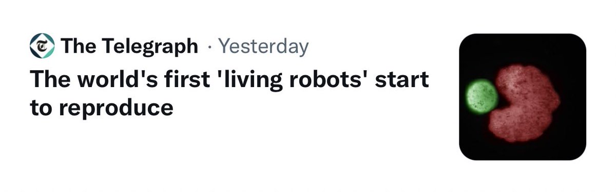 DavidAG1989's tweet photo. If there was ever a headline to signal the beginning of the end, this is it😂 #apocalypse #TheEndIsNigh #HumpingRobots is the clock ticking? @BulletinAtomic 😂🤖 https://t.co/QRwazsdHu8