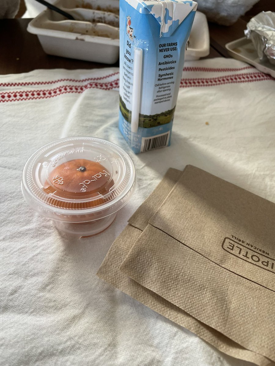 jsmall4000's tweet photo. .@ChipotleTweets quite literal when they say “fruit cup” https://t.co/L5U1o2BrI2