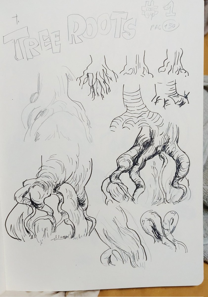 Some studies 