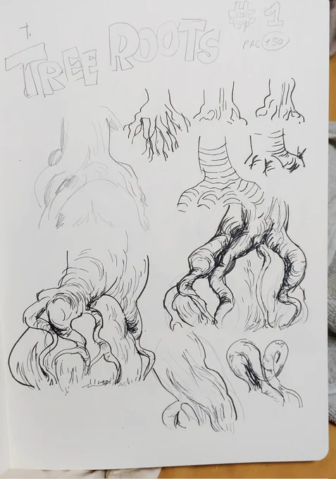Some studies 