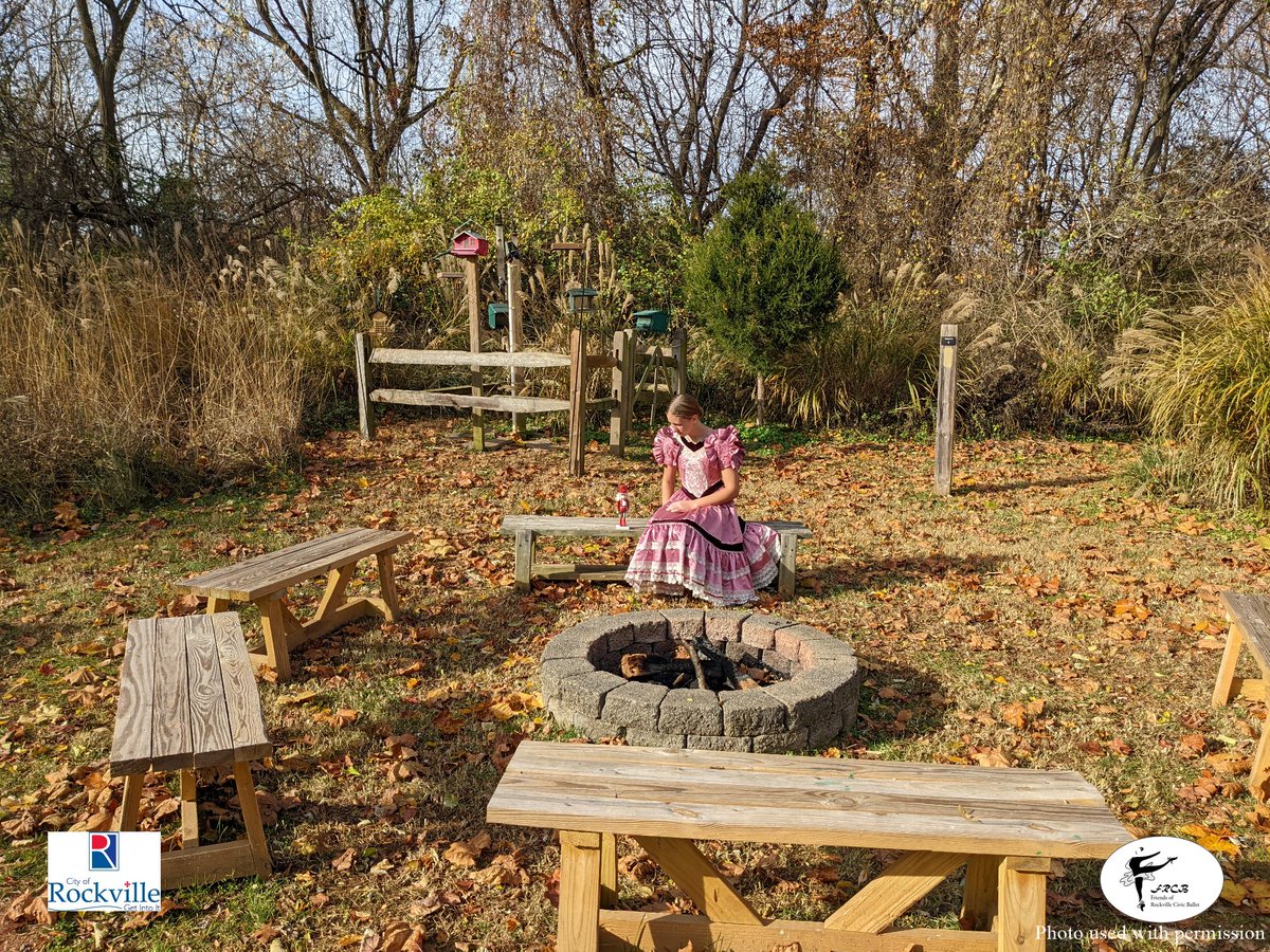 FriendsRcb's tweet photo. Croydon Creek enjoyed a visit by Clara from The Nutcracker!
Clara, played by Isabel of @RockvilleBallet, explored all around the CCNC on #ClarasMagicalJourney. She saw the mural, CCNC animal ambassadors including Daisy, the terrapin, the fire pit and bird feeders, and the trails! https://t.co/02kxcZfX6O