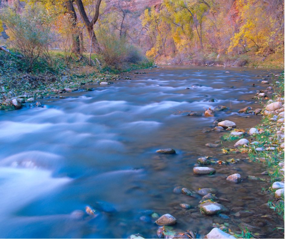 Autumn at Zion National Park 🍂🍁🍃 

Plan your visit: bit.ly/3pky5wj 🌵