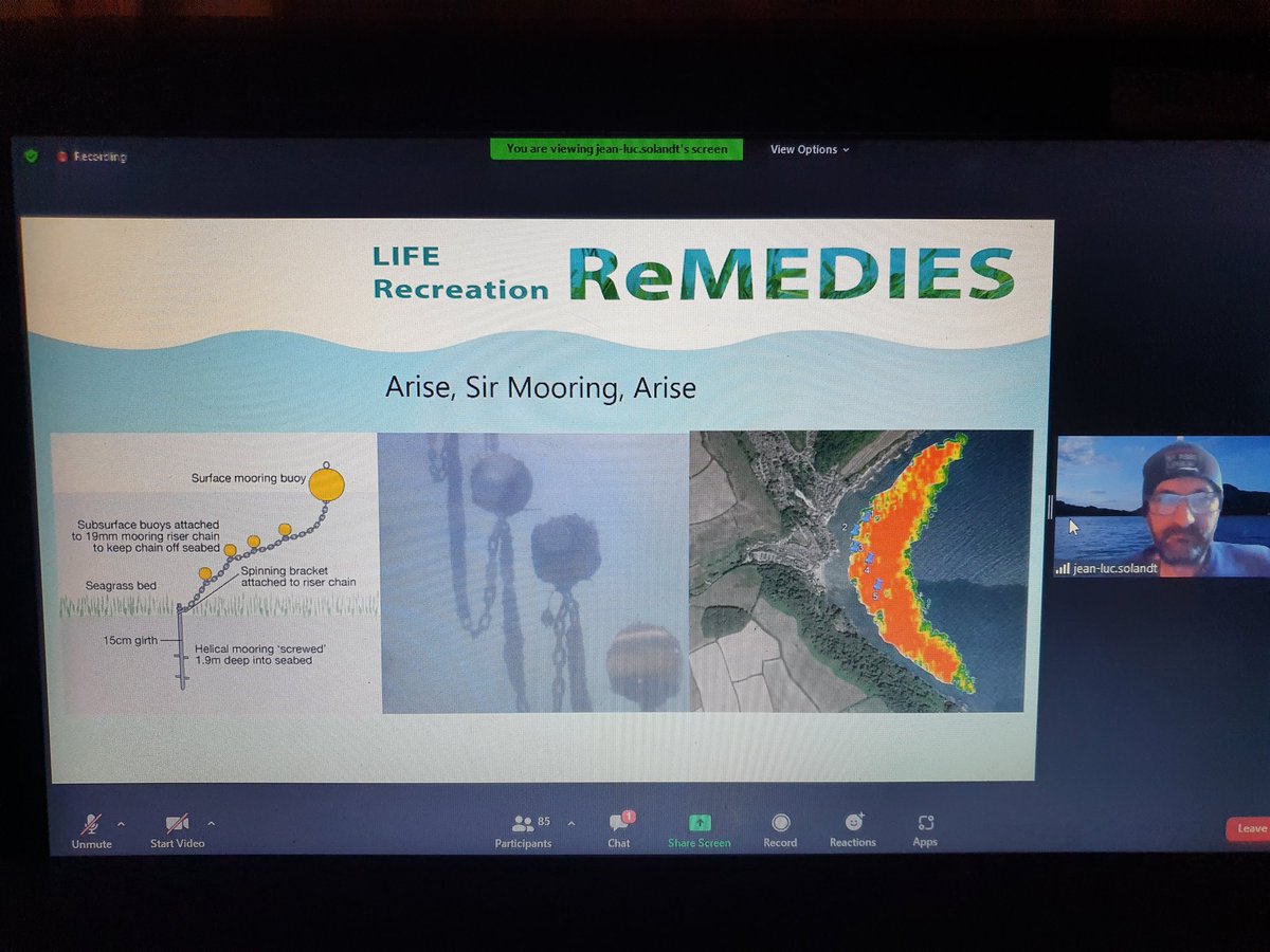 SharonEnv1's tweet photo. Brilliant breakout session at the @mcsuk AGM with a talk on #seagrass from Jean-Luc. Really enjoying the event thank you folks ππππ
#OceanOptimism #RewildOurWaters #oceanaction #climatesolutions #seawilding @ClimateActionNE #rewilding πππ https://t.co/eR7DGS7hQS