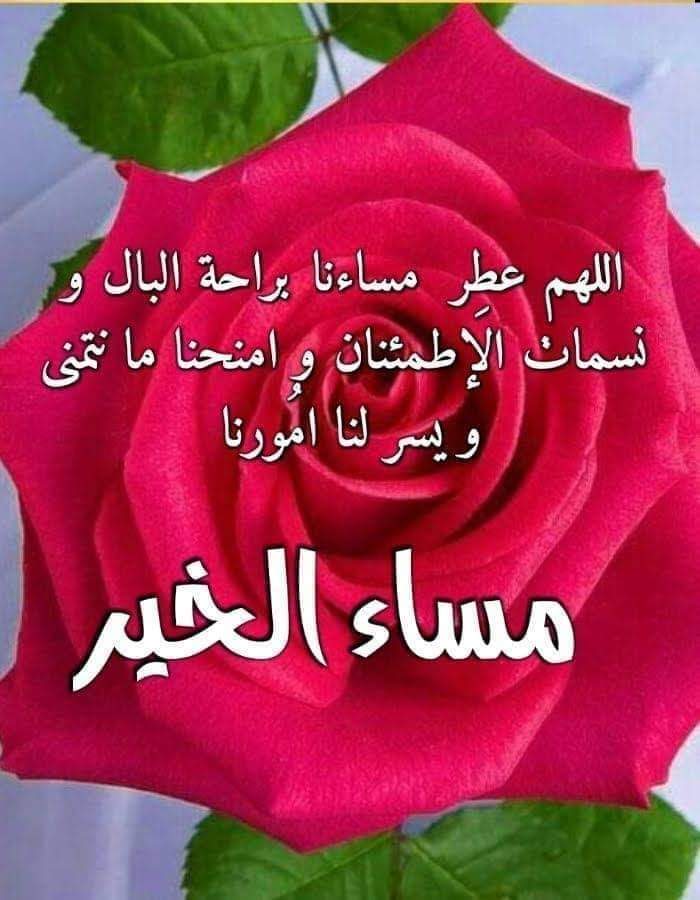 المحبة نعمة من الله
والتواصل مع ذي القربى والاصدقاء أنس
والاطمئنان على أحوال الآخرين رحمة
قد نقصر قليلا
وقد يلهينا الزمن 
ولكن يبقى نبض القلب لاينسى المودة
اللهم 🤲 ارزقنا طيب المحبة
وحلاوة الأخوة... وصفاء النفس... وحسن الخاتمه والعمل الصالح يارب
وصلى الله على سيدنا محمد