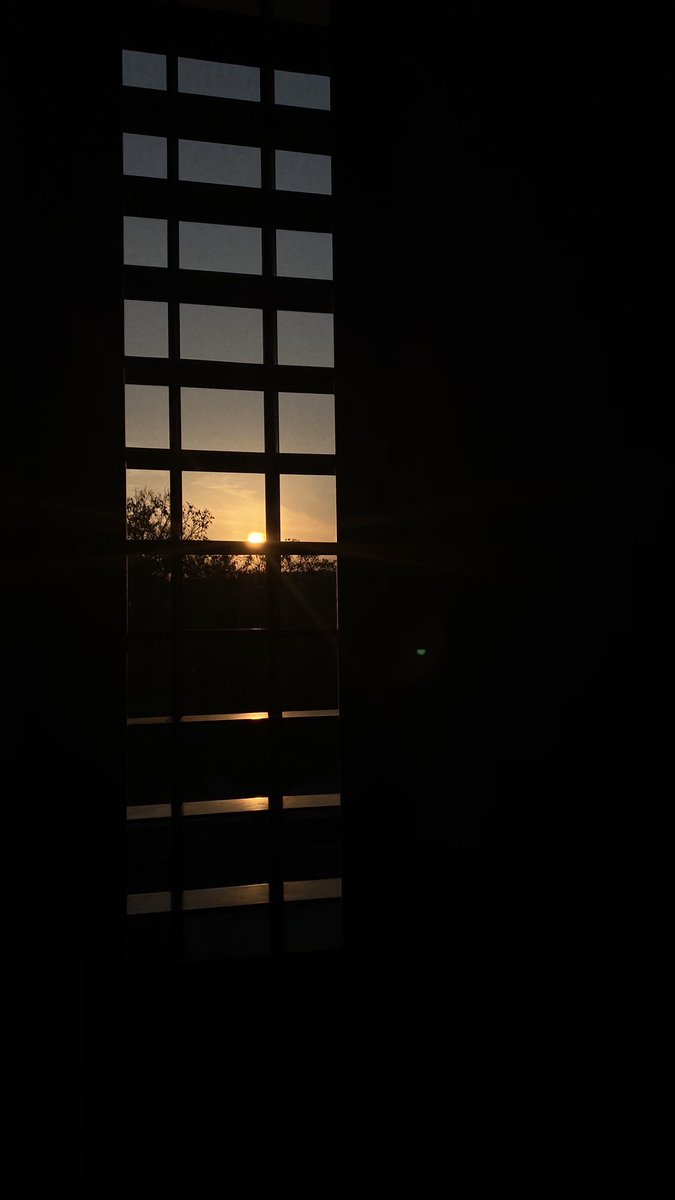 الشيماء tweet media