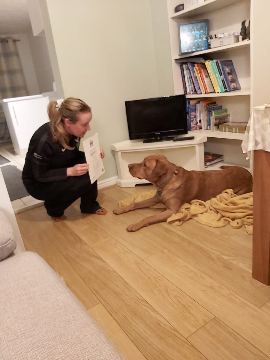 Dr Gemma Parry tweet media