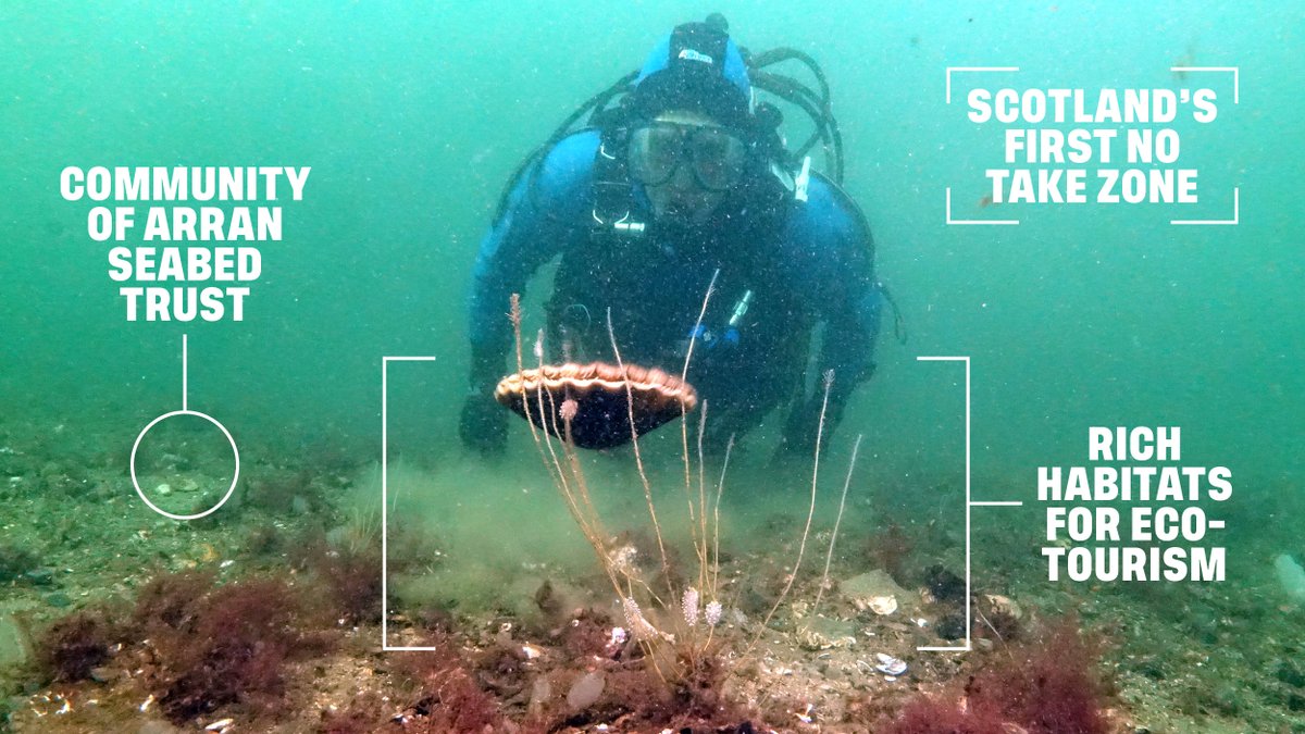 Did you know that Scotland's first #NoTakeZone was instigated by two divers? The <a href="/ArranCoast/">Arran Coast</a> community organisation's success at reinvigorating the marine environment has had knock-on economic effects well beyond fishing...
rewildingbritain.org.uk/blog/case-stud…
#NatureBasedEconomy