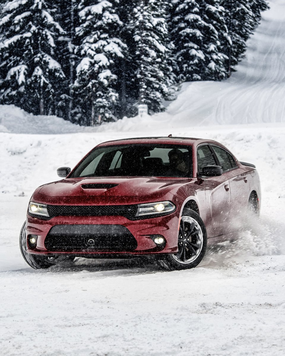 Dodge tweet media