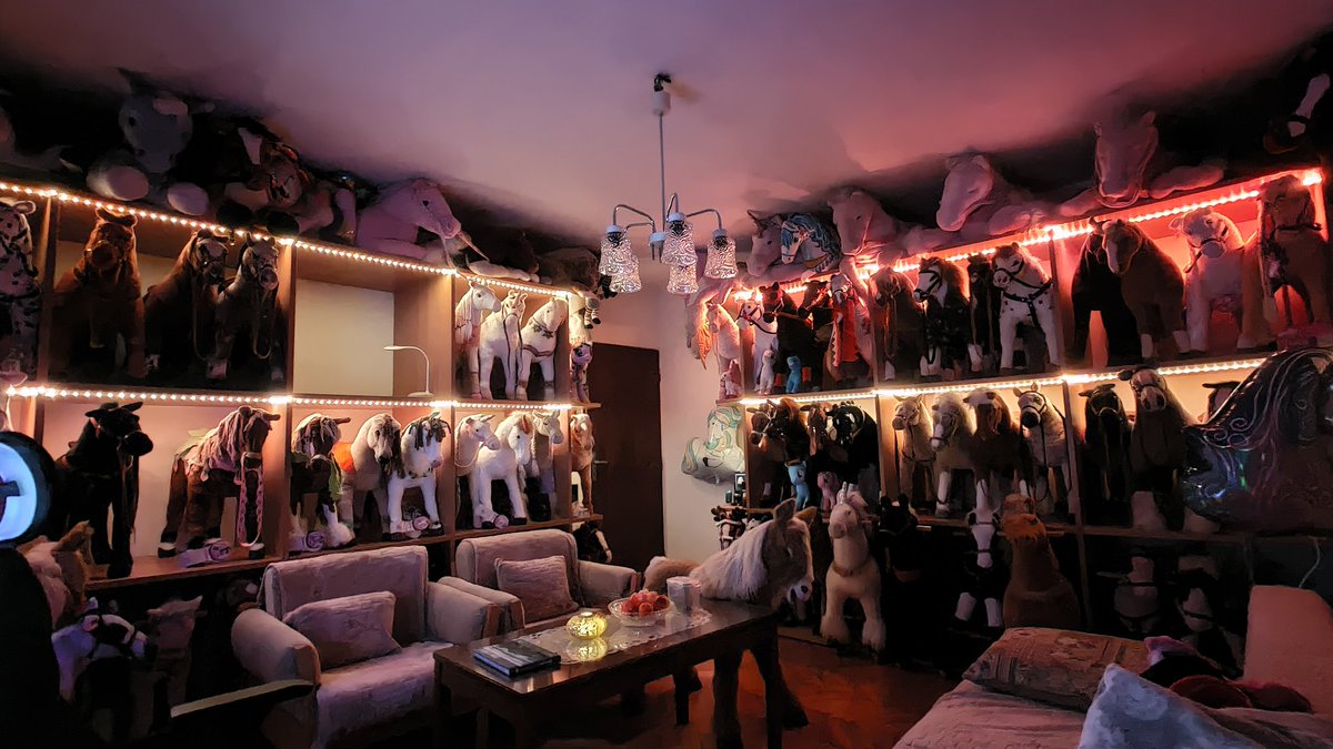 RaelegP's tweet photo. So mine plush horses , rocking horses and ponycycle have finaly fully lighted every folder where are placed. Mine living room now became trully relaxing place. https://t.co/d8FOeVRVc6