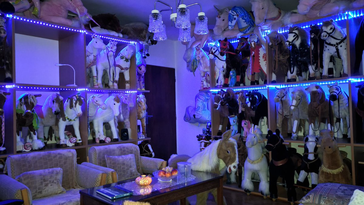 RaelegP's tweet photo. So mine plush horses , rocking horses and ponycycle have finaly fully lighted every folder where are placed. Mine living room now became trully relaxing place. https://t.co/d8FOeVRVc6