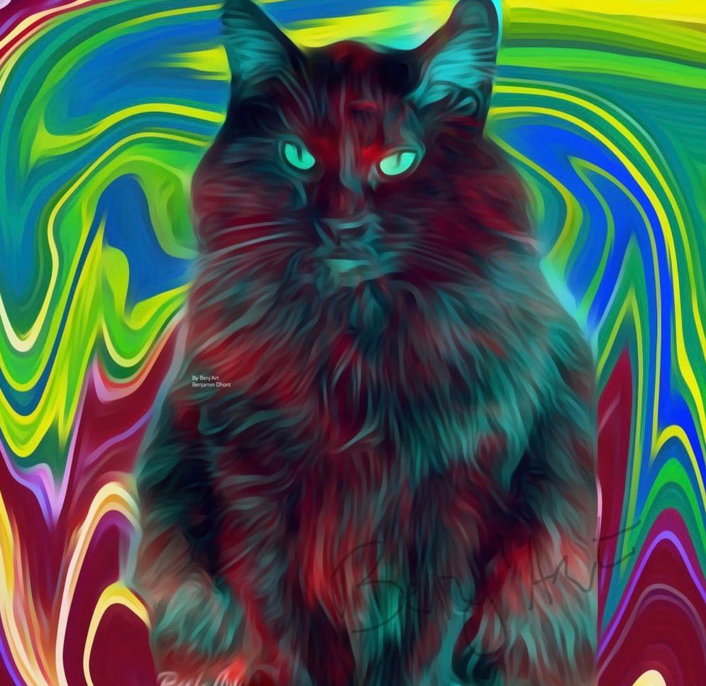 benjamin_dhont's tweet photo. My cat cat arts 😊Musti 🌹 #bendhont #instagram #artoninstagram #blackmusticat #digitalart #digitalarttiest #artistic_unity #artisticbros #artisticglobe #artistic #kunst #artisticdrawing #digitaldrawing #digitaldrawings #Arts #artsy #design #artists https://t.co/VF1fwGG6um