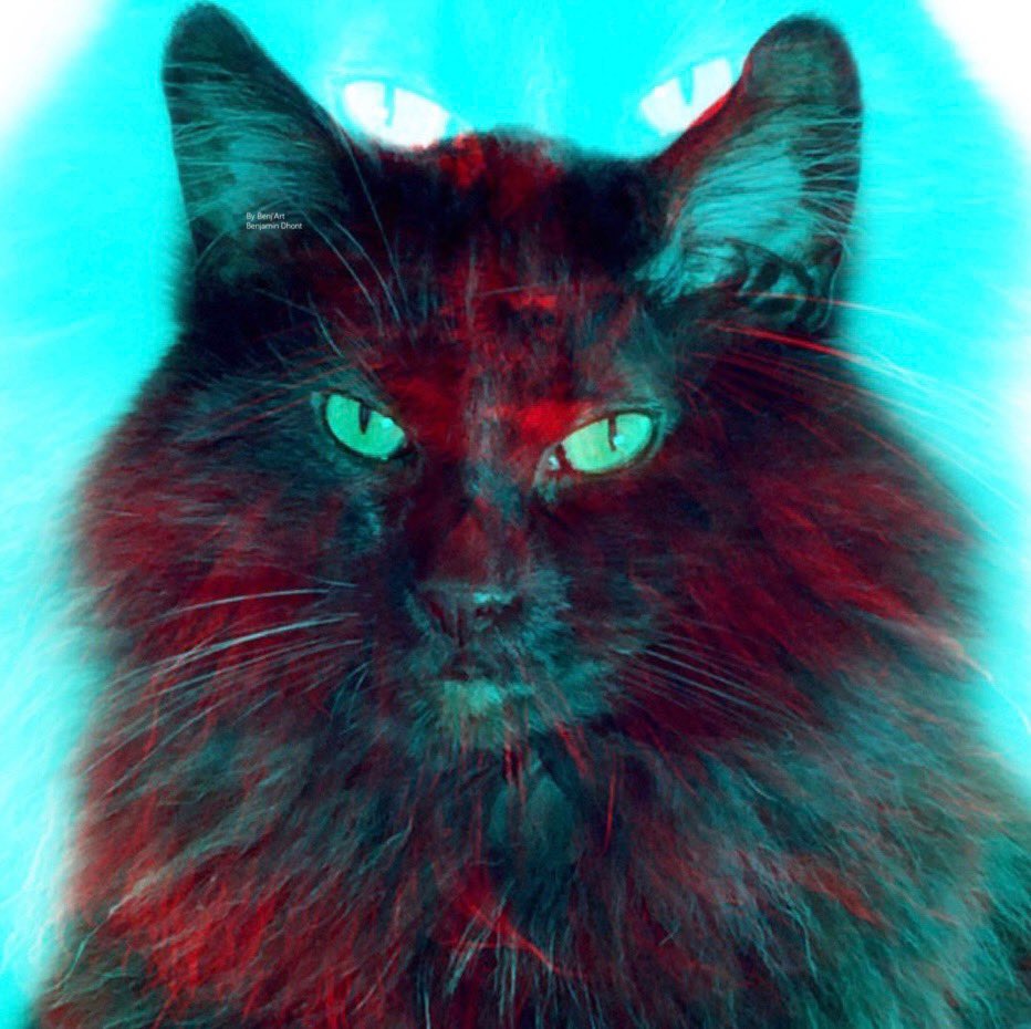 benjamin_dhont's tweet photo. My cat cat arts 😊Musti 🌹 #bendhont #instagram #artoninstagram #blackmusticat #digitalart #digitalarttiest #artistic_unity #artisticbros #artisticglobe #artistic #kunst #artisticdrawing #digitaldrawing #digitaldrawings #Arts #artsy #design #artists https://t.co/VF1fwGG6um
