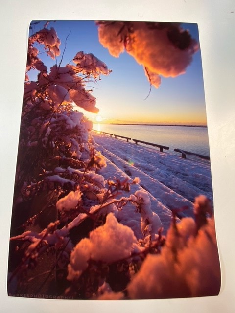 GrenvillePrint's tweet photo. Looking to get large format prints done, for the holidays? Not a problem! 

One of our latest prints done, sized at 24 x 36 by a Toronto Photographer. 

Grenville,  is here for you! Send PDF files to ma.burke@grenville.com who will assist with your print orders. #largeformat https://t.co/tjsmFKpWNo