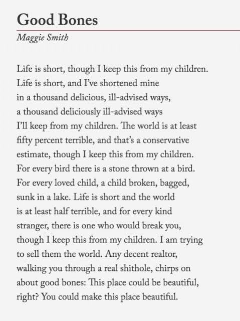 Tania Kliphuis 🇿🇦 tweet media