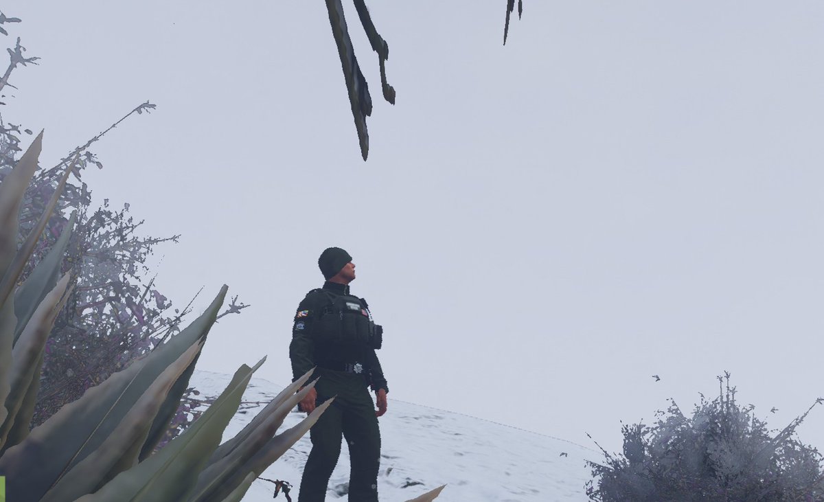 Winter has arrived!

San Andreas Fish &amp; Wildlife might have a busy season

#ARP #FIVEM #AbsoluteRP #grandtheftauto #GTARP