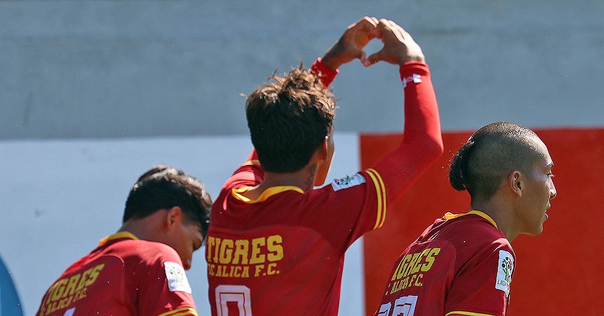 ¡LOS MEJORES ARIETES!

A dos fines de semana de terminar la Ida del Torneo 2021-2022, toca reconocer al Top 13 que ha hecho emocionar a toda la afición con sus goles

Aquí te dejamos todos los detalles ▶️ bit.ly/3dgkIaR

#CrecemosJuntos