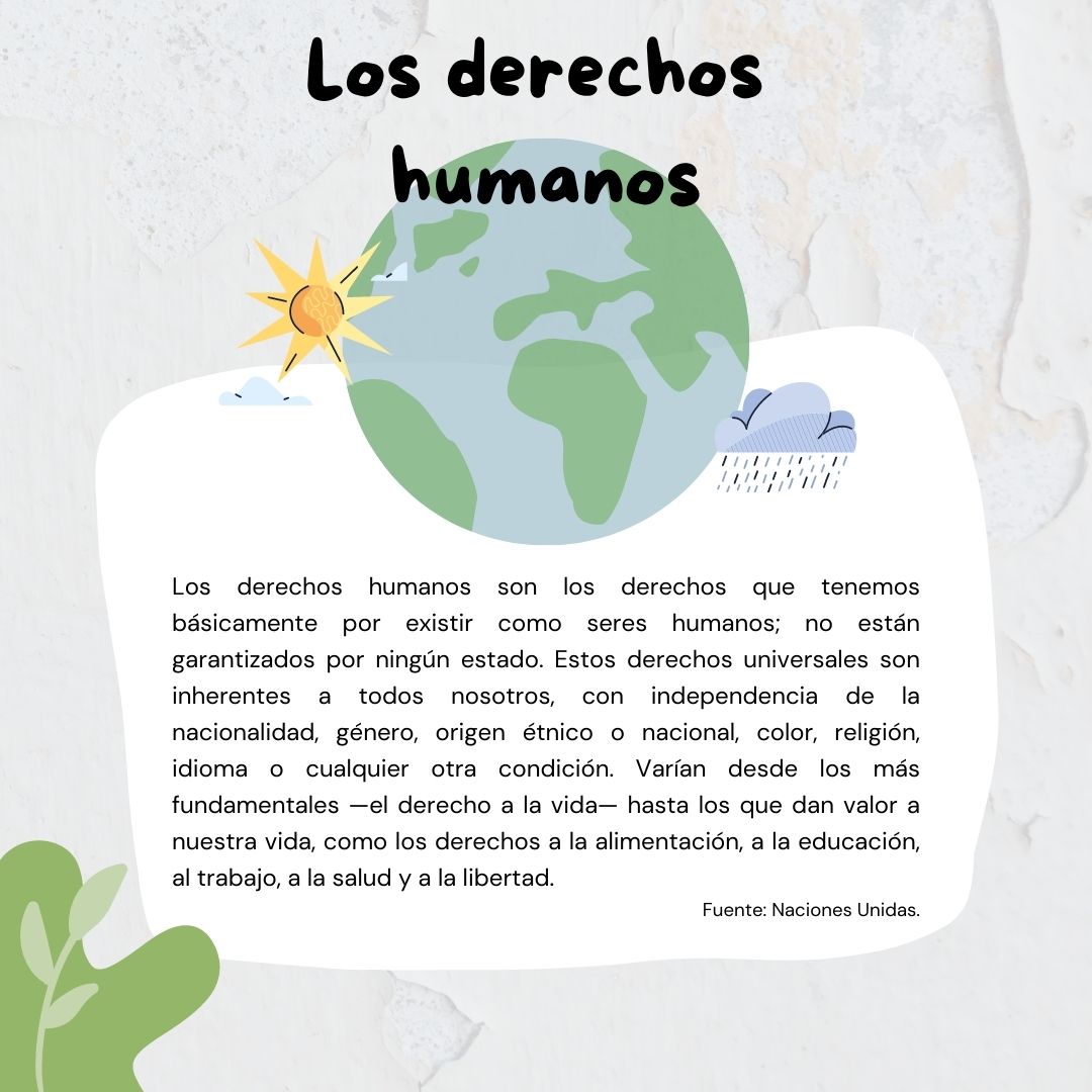 DH_Prime_GF's tweet photo. Seguimos trabajando los #derechoshumanos en las aulas 👩🏫
En 1948 la @ONU_es adoptó la Declaración Universal de Derechos Humanos (DUDH) 📚donde se recogen los derechos y libertades a los que todo ser humano puede aspirar en condiciones de igualdad. #derechoshumanosGF #DH_prime_GF https://t.co/a0FEh29Bhm