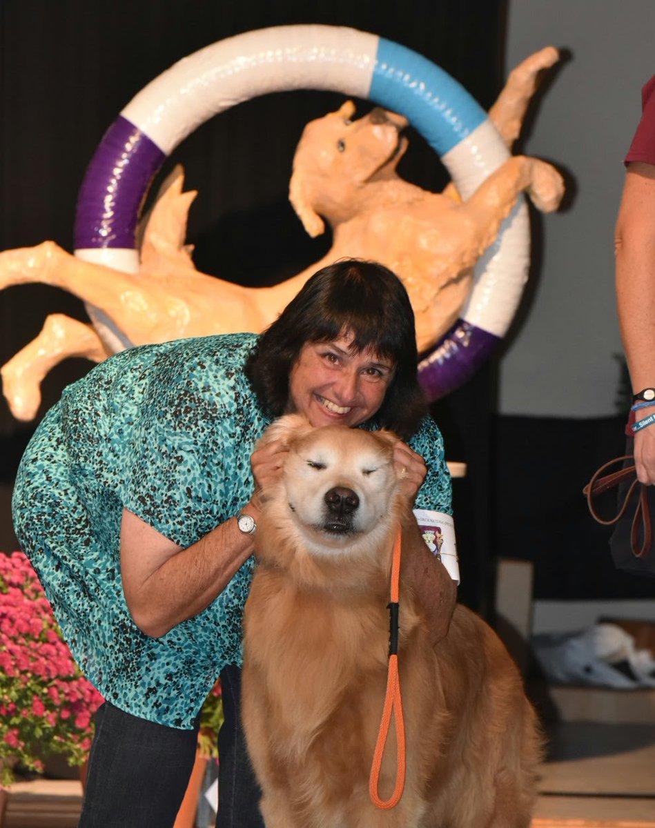 2015 Golden Retriever National Specialty in OH.
Boys at the "sports bar watch in Master test" and Kai's Dad dog Tito with his Mom

#grca #goldenretriever