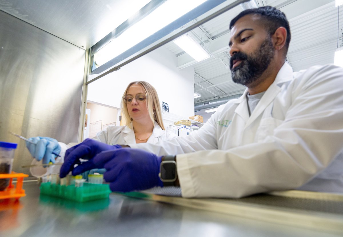 Pluton Biosciences tweet media
