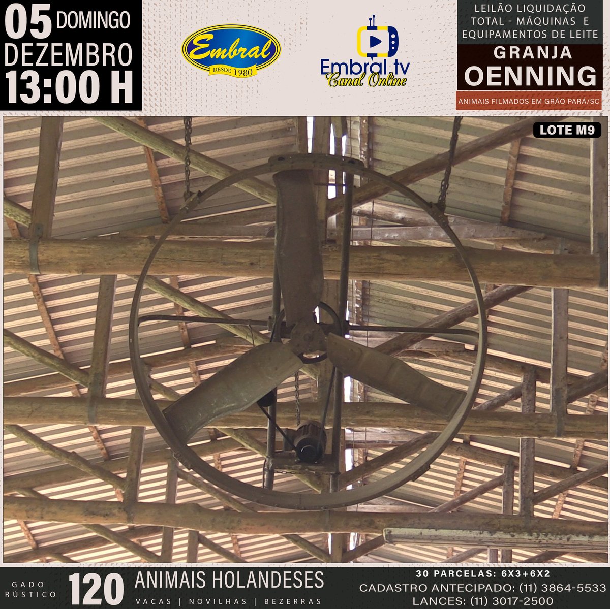 embralleiloes's tweet photo. Liq Granja Oenning
05/12- 13:00 Horas
Grão Pará - SC
#embralleiloes #embral #embraltv #lideremgadodeleite #leilaoéaqui #girolando #girolandobrasil #vacadeleite #leite #leilao #leilaoonline #juntossomosmaisfortes #oagronaopara #leilaodegado #gado #embral41anos https://t.co/C0DVmDbI9n