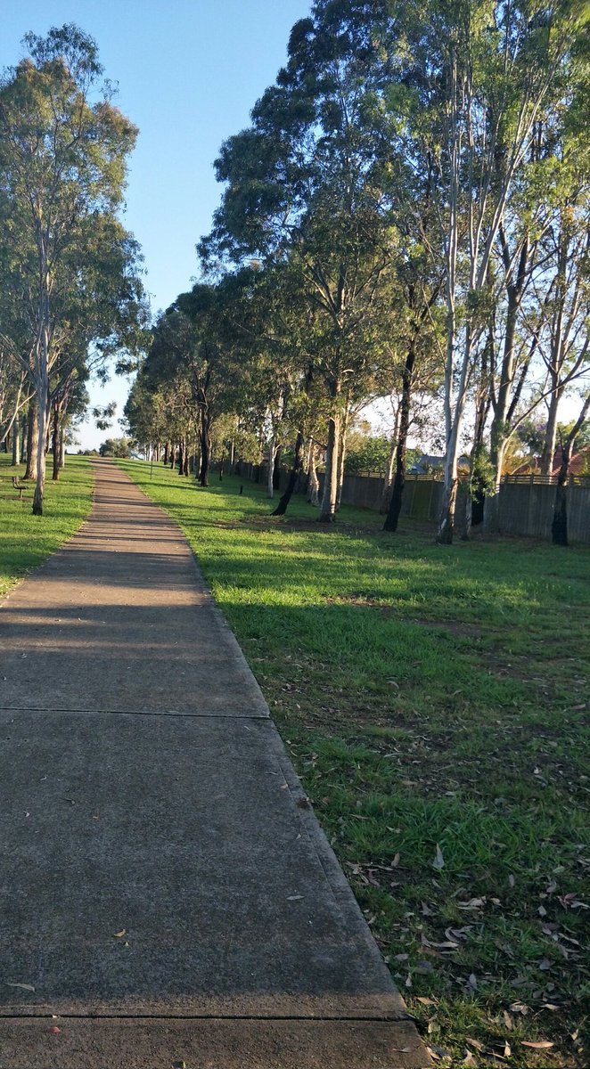 SorrentiTracey's tweet photo. Beautiful summer Friday morning here after weeks of rain. Walking this rascal keeps me moving โค#mypeakchallenge #samheaughan #aussiepeakers https://t.co/cHgmFVoz1I