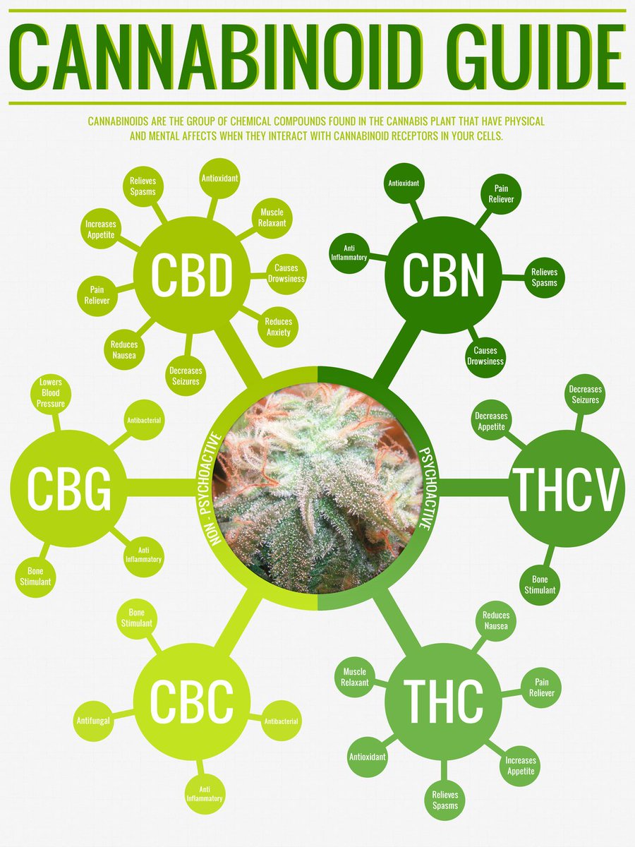 What Are Cannabinoids? <a href="/AngelOfCannabis/">𓂀🪞𝔸𝕟𝕘𝕖𝕝🪞𓆃</a>

#cannasugartoken #cannabis
#cryptos  #cannasugar 
#cryptocurrency #Altcoins #CannabisCommunity
$CSUG $BTC $ETH
$BNB $ADA $SOL
$XRP $DOT $DOGE
$SHIB $USDC $LUNA