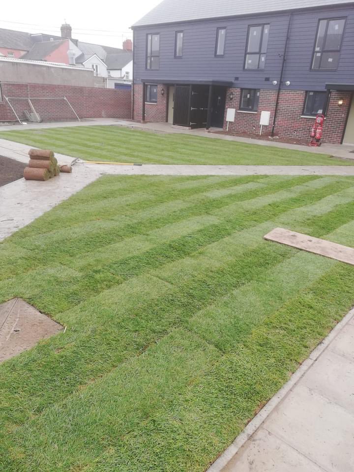 Coombs Fencing and Landscaping tweet media