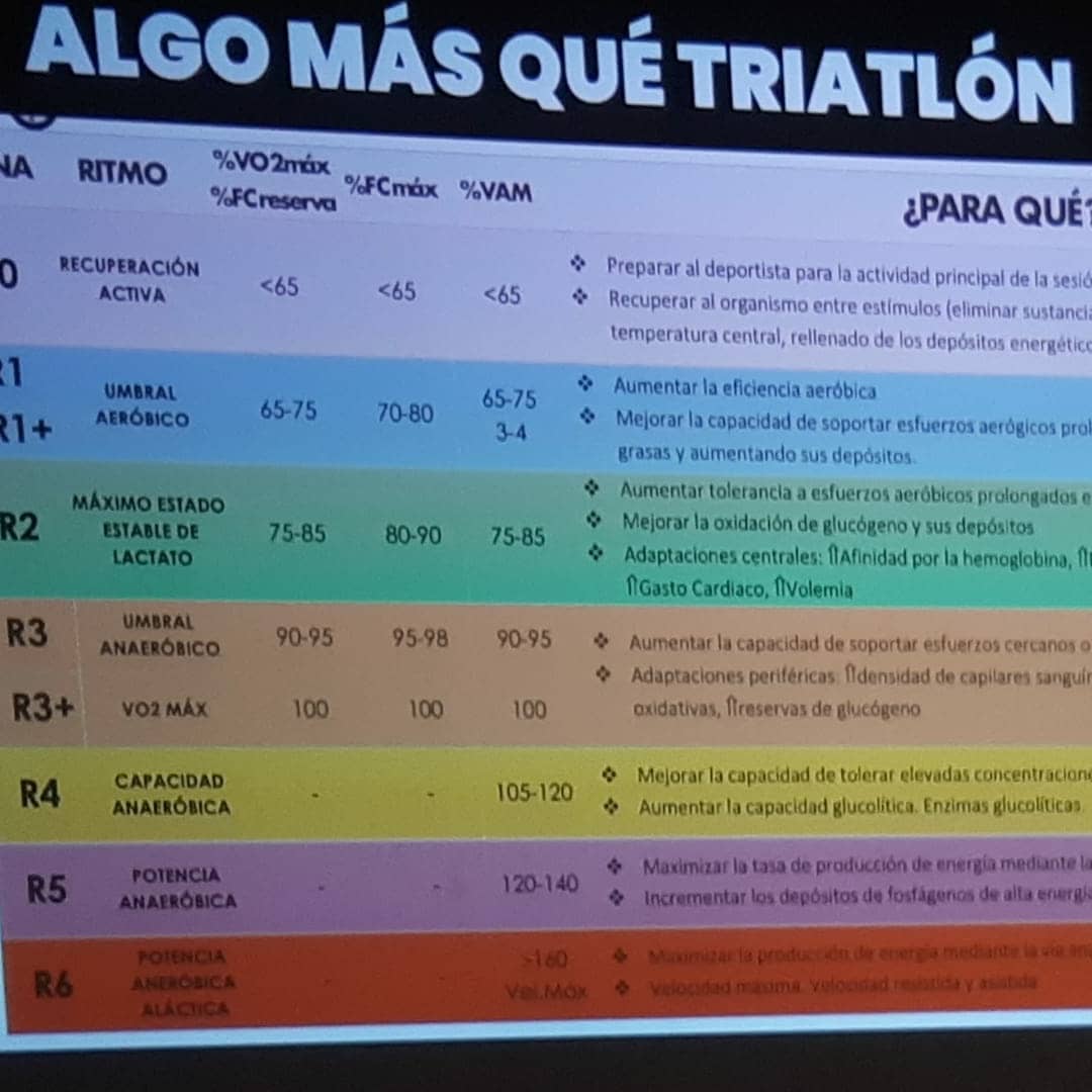 3styletriatlon's tweet photo. Reunión anual 3Style, ¡¡vaya temporada nos tiene preparada el míster Luis Molina #RendimientoYSalud!!🌟🌟🌟

#3StyleTriatlon #somostriatlon #familia3Style #training #tri #tritraining #trilife #swimbikerun #triatlon #triathlon #pretemporada https://t.co/Qyd65E5aTa