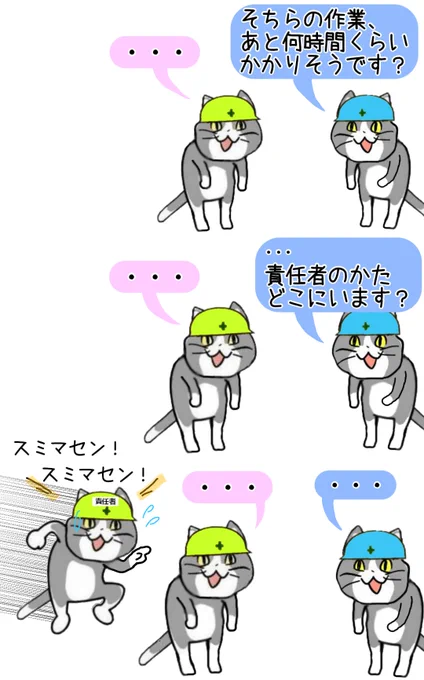 弊社の新人がご迷惑おかけして本当にすみません #現場猫 