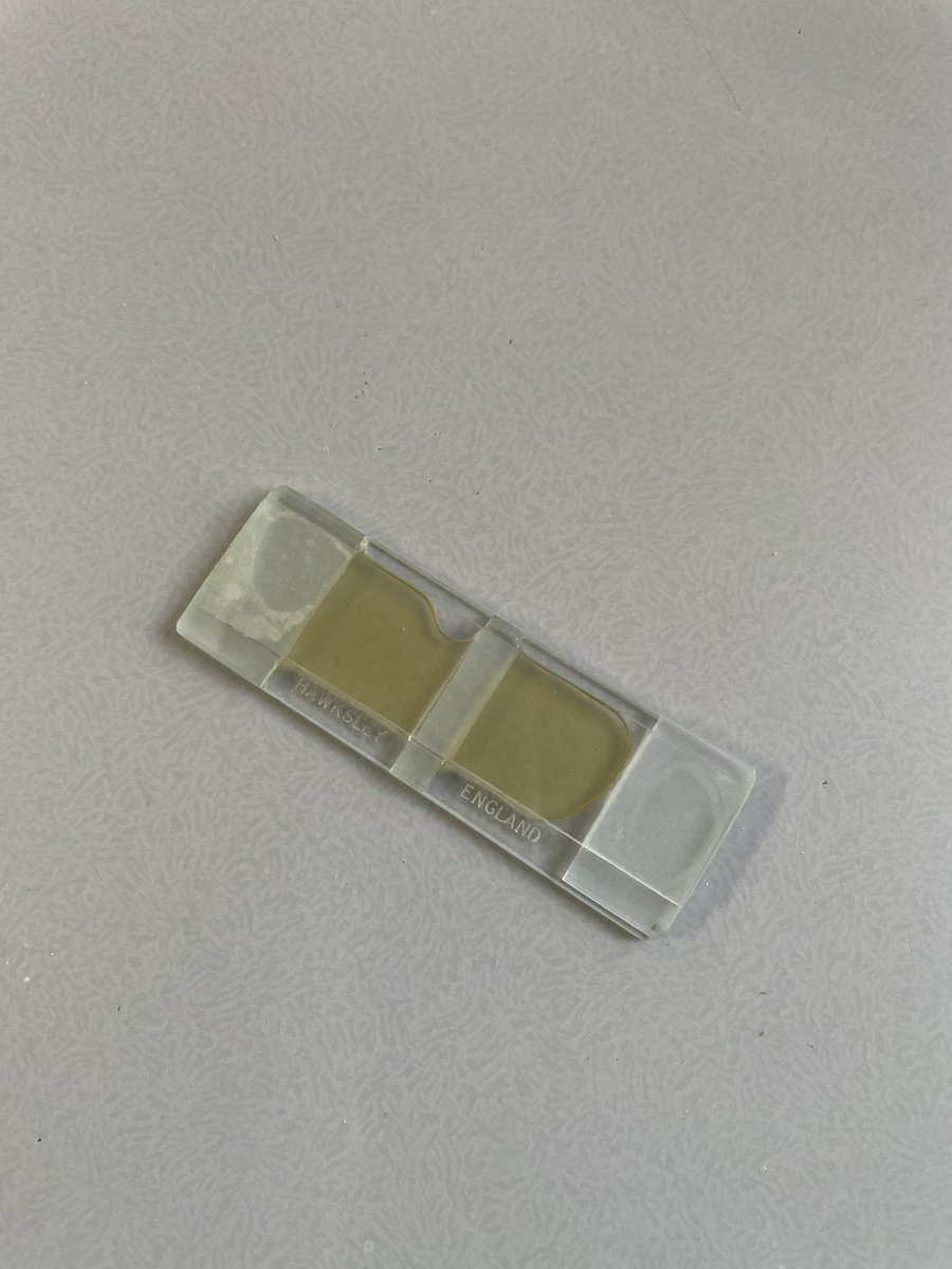 ShannaraEilean's tweet photo. Day 2: Started examining our samples using the McMaster technique 🦠 #parasites #parasitology #honoursproject #WomenInSTEM #biology #science #uofg https://t.co/nEU7GAUHZJ