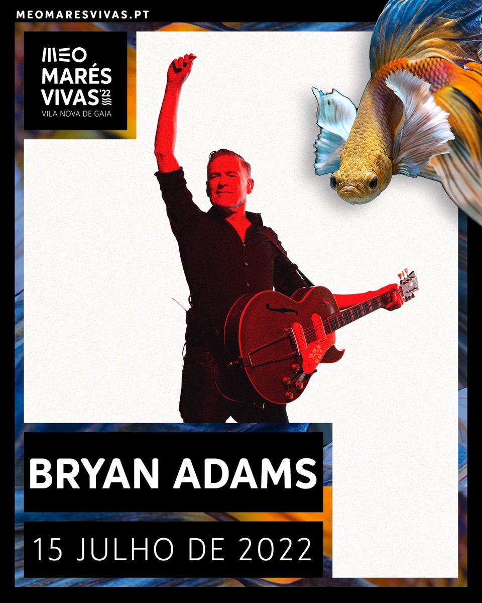bryanadams's tweet photo. Bryan returns to Portugal next summer headlining the @MEOMaresVivas Festival in Porto on 15th July 2022. 
Tickets on sale now! 
https://t.co/sbfgDgfg4r https://t.co/vkOmGvBow8