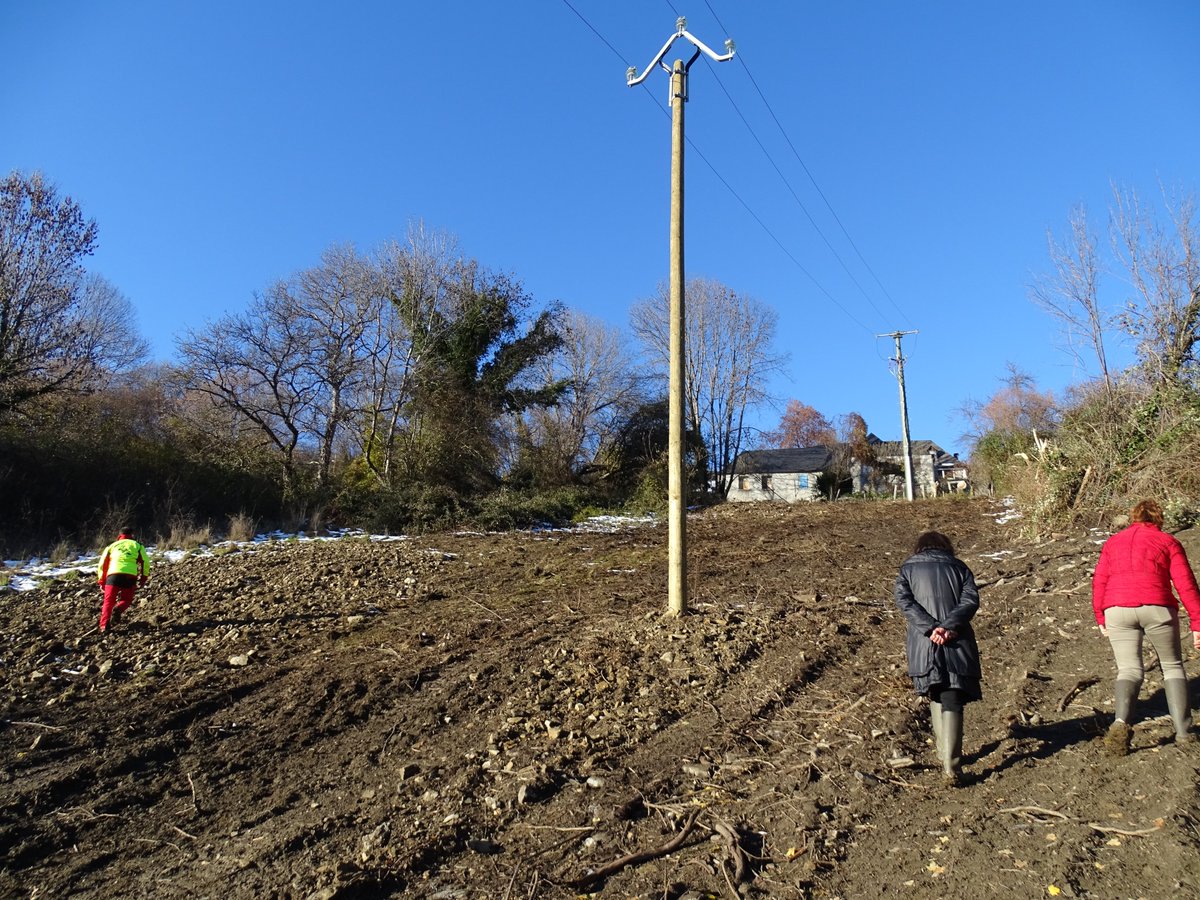PARC_PA's tweet photo. Reconquête agricole : chantier avec @enedis et la commune de #Galey sous une ligne HT restaurée, pour l'installation de parcelles agricoles au lieu d'accrus forestiers de faibles valeurs : restauration de la mosaïque paysagère et terrains pour l'élevage extensif
@kamelchibli https://t.co/lB12BYMqKX