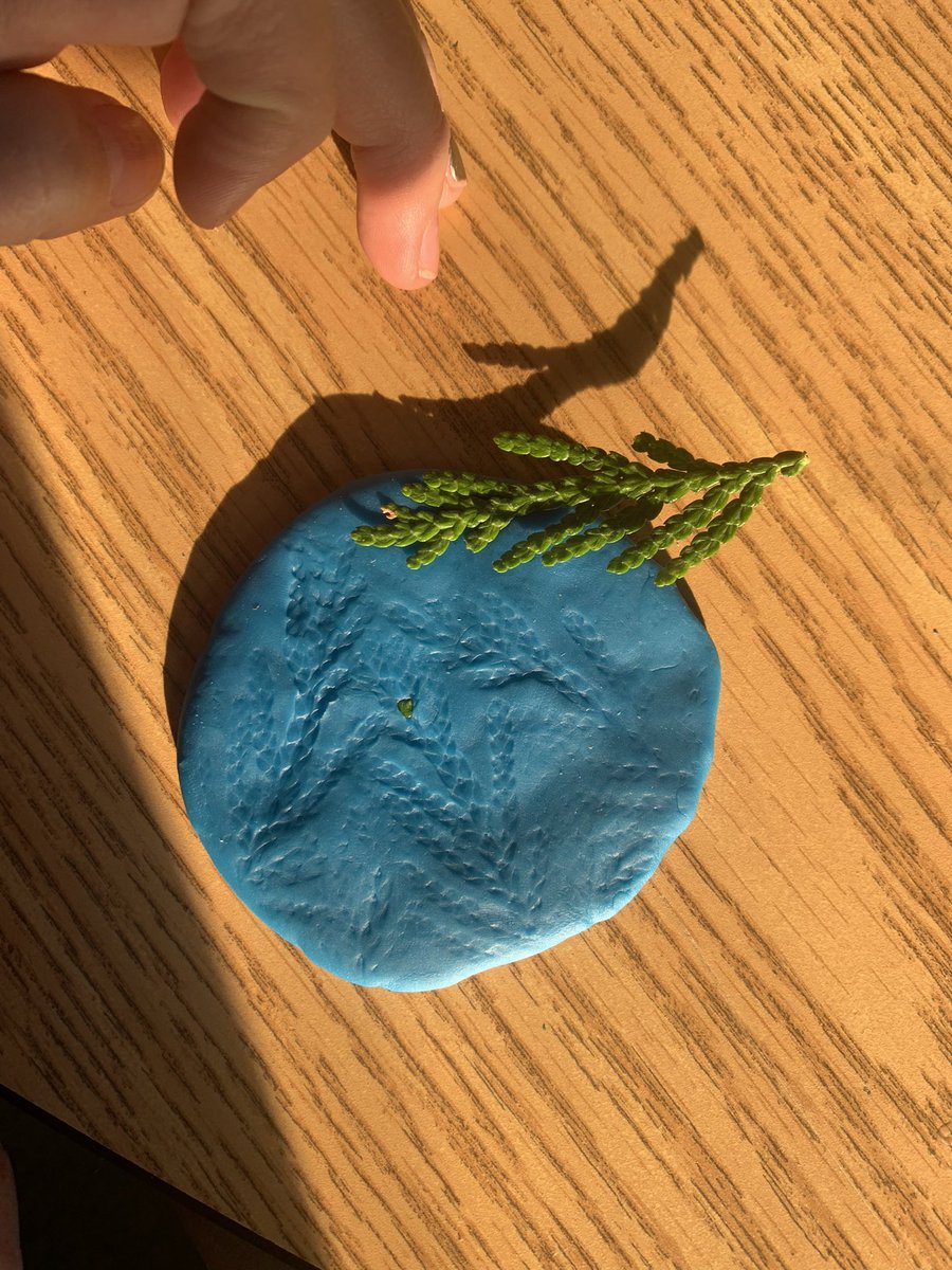 Hello3GLearners's tweet photo. Hands on learning today when we created fossils 🐚🌿🦕🦖 https://t.co/kui2H6up1P