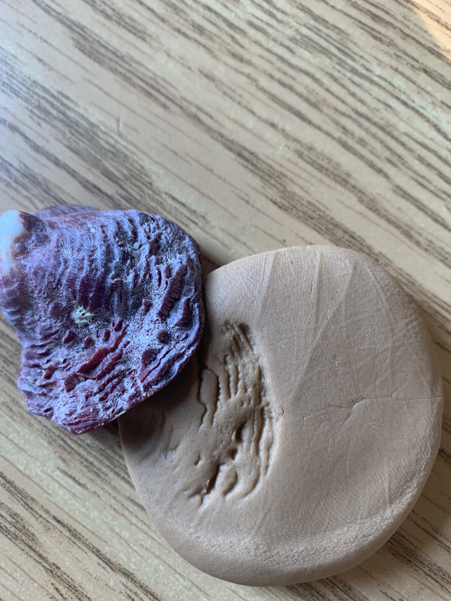 Hello3GLearners's tweet photo. Hands on learning today when we created fossils 🐚🌿🦕🦖 https://t.co/kui2H6up1P