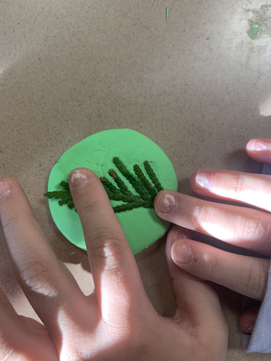 Hello3GLearners's tweet photo. Hands on learning today when we created fossils 🐚🌿🦕🦖 https://t.co/kui2H6up1P
