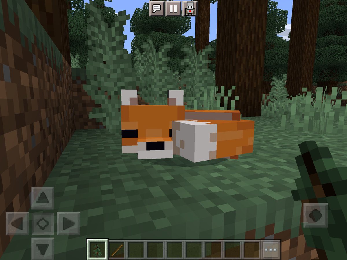 EllahInnit's tweet photo. @youtooz @rammie rammie 🐱 (have a fox) https://t.co/TVne4q2kKb