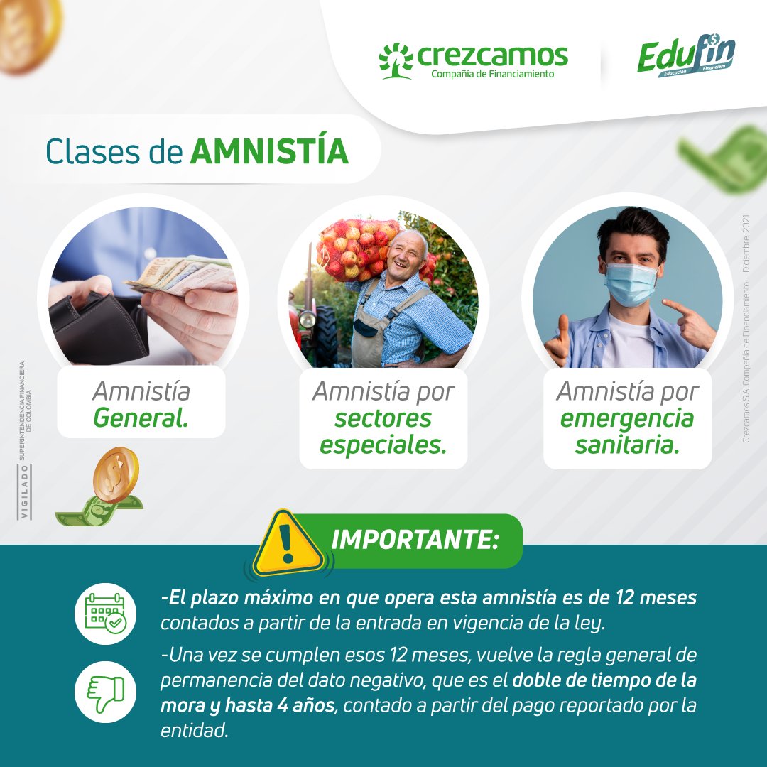 Crezcamos's tweet photo. Hoy le explicaremos los beneficios a los cuales usted como ciudadano puede acceder  y le contamos cómo van a ser aplicables, la próxima semana continuaremos con los otros dos tipos de amnistías y beneficios.🌳💚

#Crezcamos #Edufin #EducaciónFinanciera #LeyBorrónyCuentaNueva https://t.co/lJE0IMMe8u
