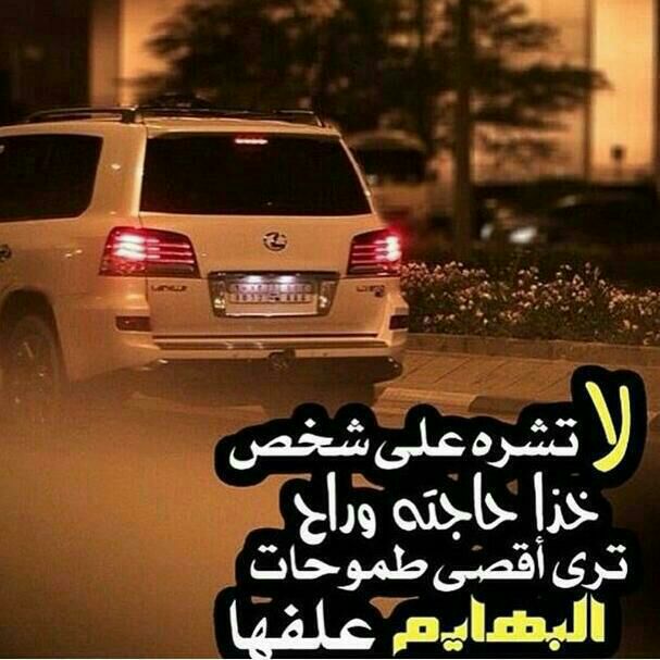 sq0dz's tweet photo. https://t.co/GVnnml008K