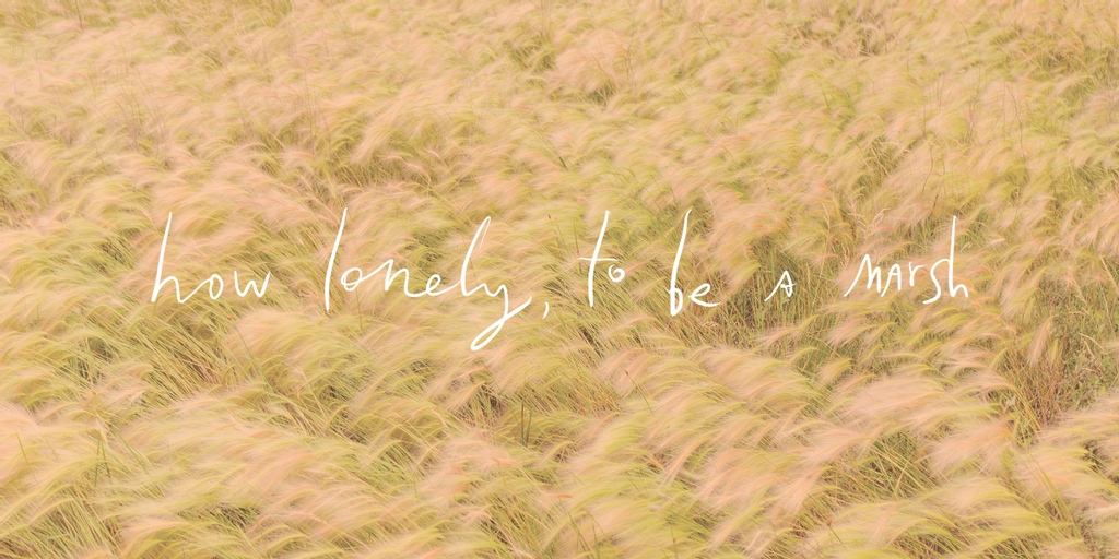 Platte Basin Timelapse tweet media