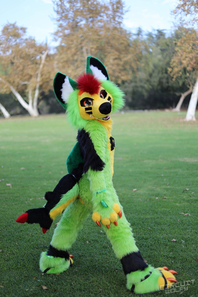 CircuitWolfy's tweet image. Some photos I took at the Rose Bowl Furmeet and San Diego Furries meetup from last month.

More photos: flickr.com/CircuitWolfy/a…

@rbfm1
@SanDiegoFurries