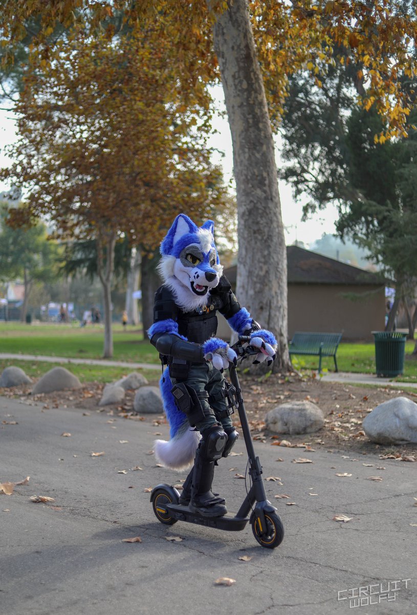 CircuitWolfy's tweet image. Some photos I took at the Rose Bowl Furmeet and San Diego Furries meetup from last month.

More photos: flickr.com/CircuitWolfy/a…

@rbfm1
@SanDiegoFurries