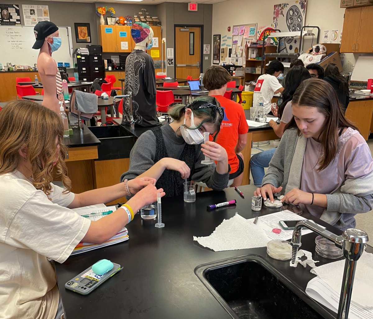 burtonbiology's tweet photo. Soil salinization studies. serial dilutions. salinity tolerance in pea seed germination #ghsapes https://t.co/daesYX6LVM