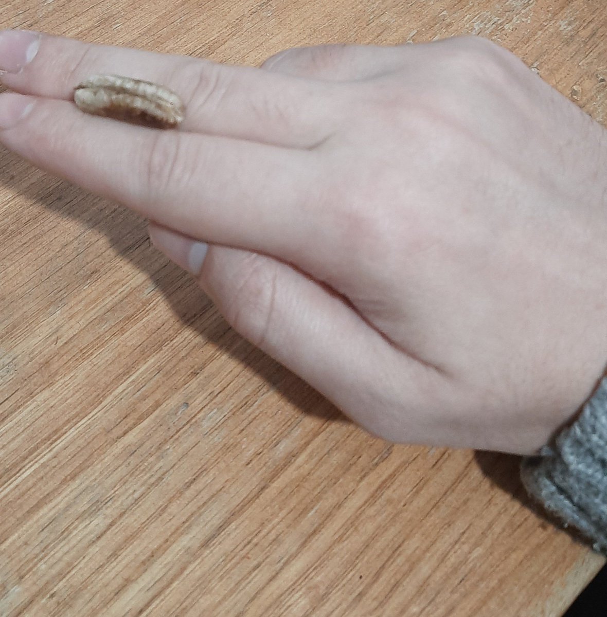 Efendimize - aleyhissalatu vesselam- bir kapta hurma getiriyorlar. Yediği hurmanın çekirdeğini şehadet ve orta parmağının sırt kısmına koyup atıyor. Sebebi hakkında buyruluyor ki:
Normal şekilde parmak uçlarıyla çekirdek ağızdan alınınca, ele tükürük bulaşır.