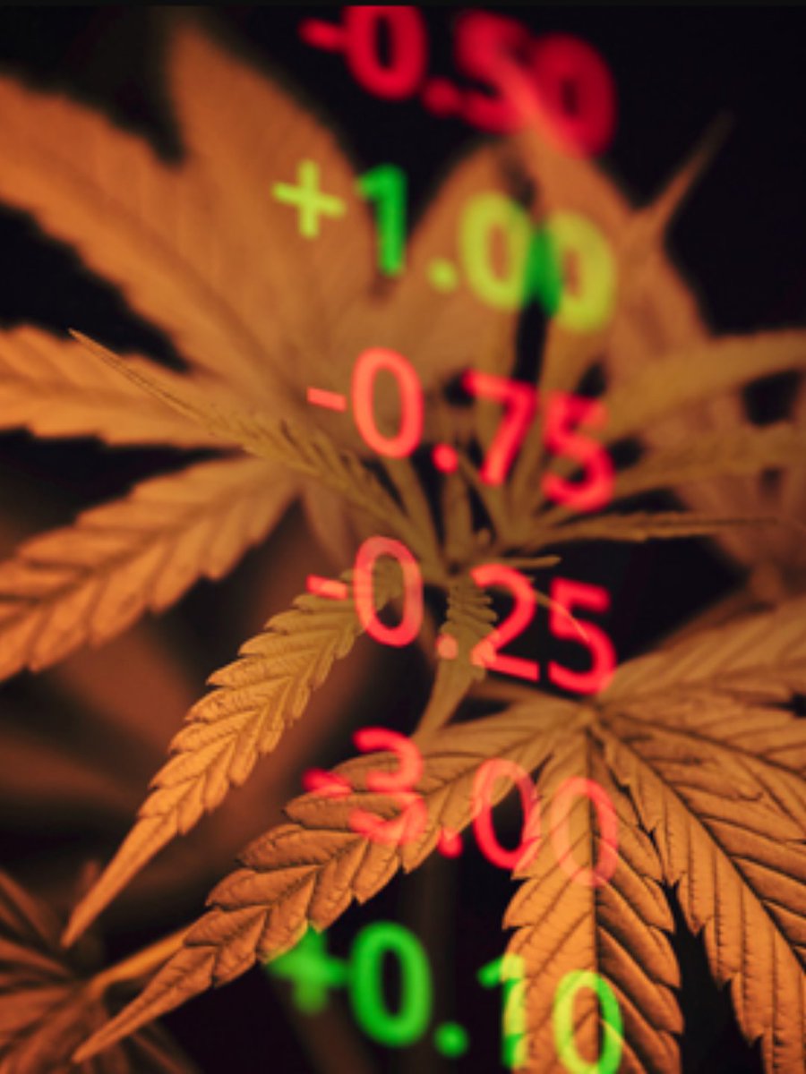 Get Digital: A Marriage of Cannabis and Crypto. 
<a href="/CannabisU/">Cannabis University™</a> Have You Checked Us Out?

#cannasugartoken #cannabis
#cryptos  #cannasugar 
#cryptocurrency #Altcoins #CannabisCommunity
$CSUG $BTC $ETH
$BNB $ADA $SOL
$XRP $DOT $DOGE
$SHIB $USDC $LUNA