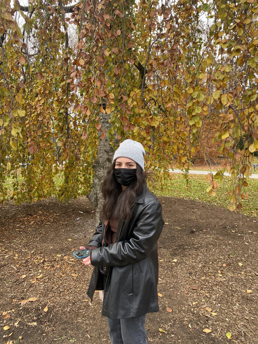 ameliaaagracee's tweet photo. film &amp; digital https://t.co/heCFh6reNA