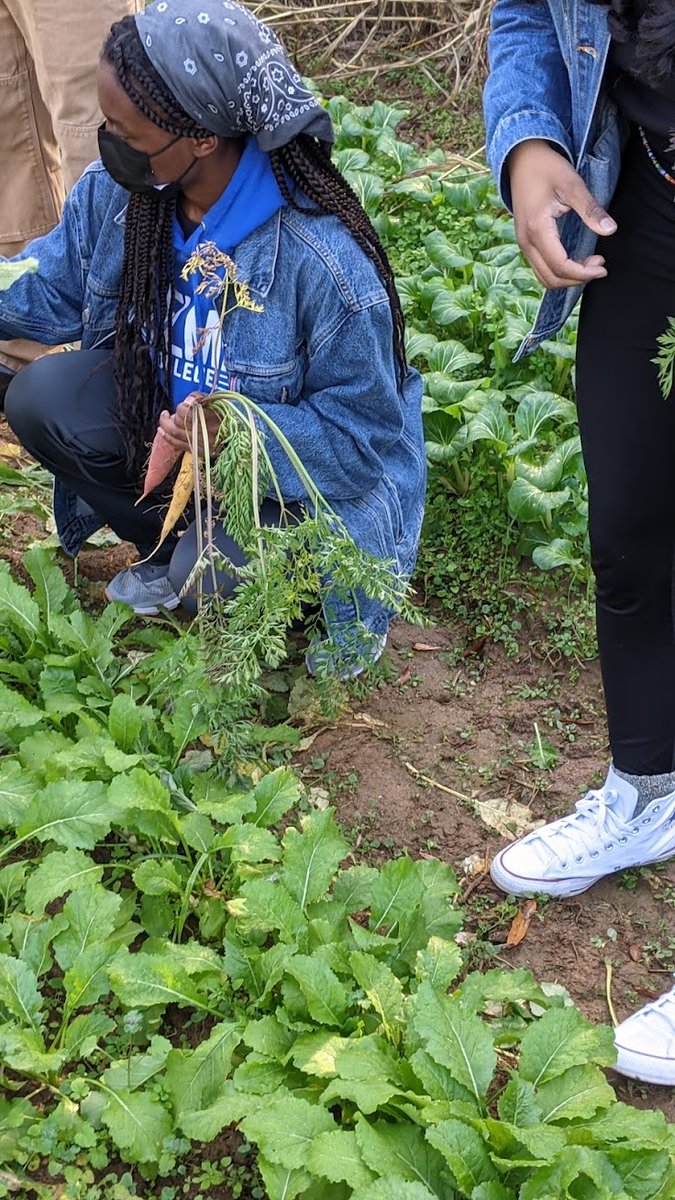 Kimberly M. Jackson tweet media