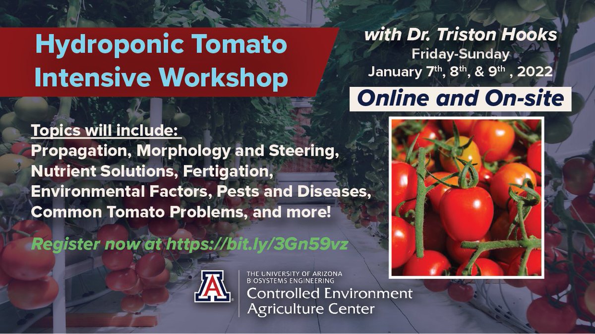 There is one month left to register for our Hydroponic Tomato Intensive Workshop! Make sure you secure your seat before it is too late! ceac.arizona.edu/events/intensi…

#hydroponics #hydroponictomatoes #controlledenvironmentagriculture #greenhousegrowing #sustainableagriculture