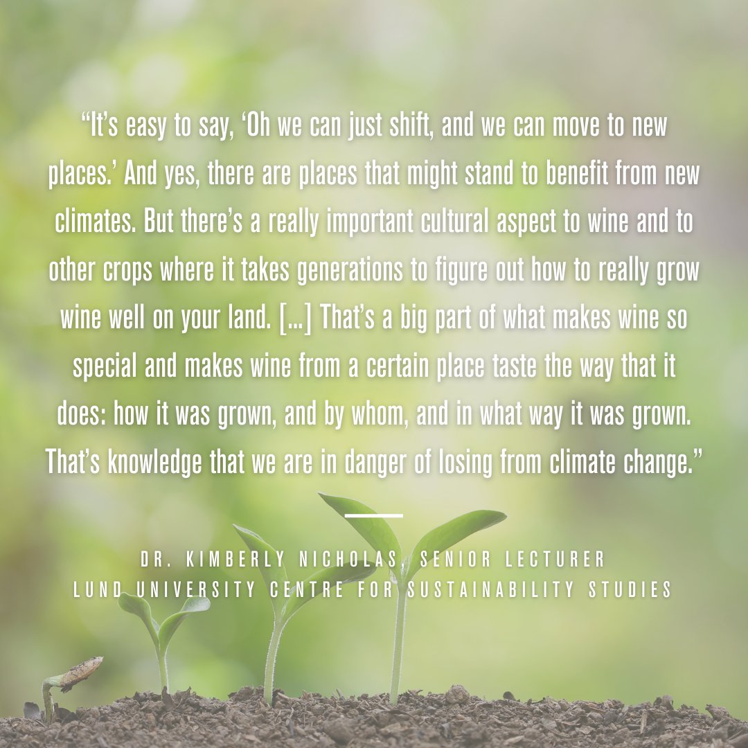 iwcawine's tweet photo. Wine grapes are an extremely sensitive crop, making them one of the agricultural crops most vulnerable to climate change 😳... (1/4)

🍇🌎🍷
#iwcawine #racetozero #racetoresilience #wine #eyeonclimate https://t.co/lueCZxujzL