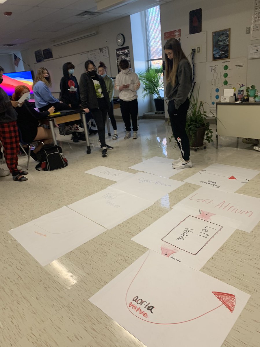 MrsKent_OPHS's tweet photo. More heart box on the floor work! #pbs #heartbox #pathwayofblood #fourchambers #learningisfun #OPHSHAW @mrsjgosney @Northmen_OPHS https://t.co/Q67HaUoZBM