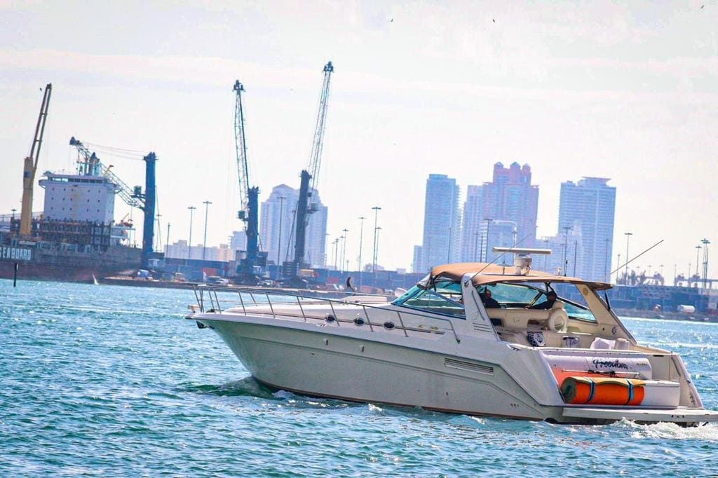 305waves's tweet photo. A lovely 55 Sundancer for Christmas is all you need..!
.
.
.
#305waves #yacht #miamirides #sealover #family #friends #miamiboatrentals #charters #renta #rentaboatmiami #boatrentals #miamistadium #haulovernudebeach #sandbarmiami https://t.co/T4znDVz4d5